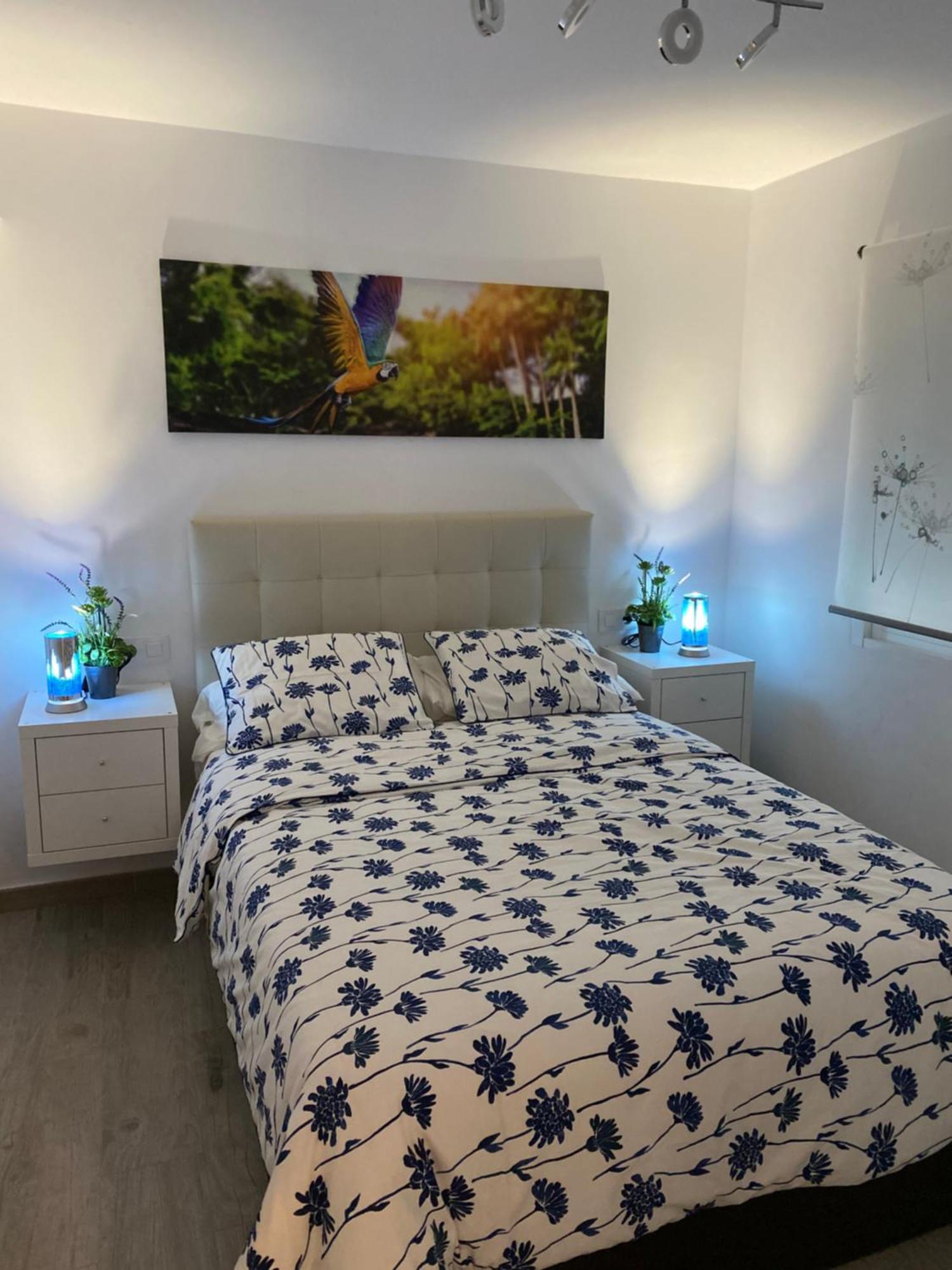apartamento sevilla enzo Exterior foto